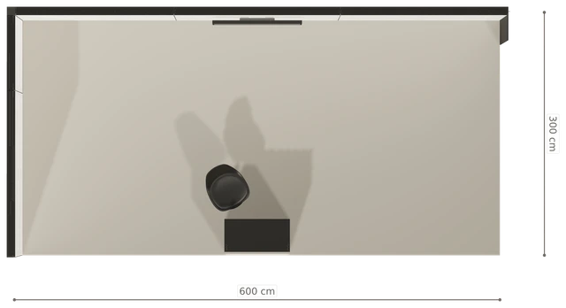 Rzut z góry