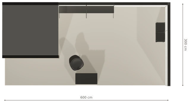 Rzut z góry